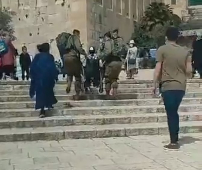 צילום: צילום מסך