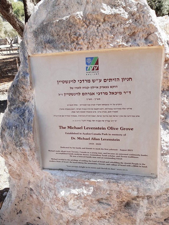 אבן ההנצחה