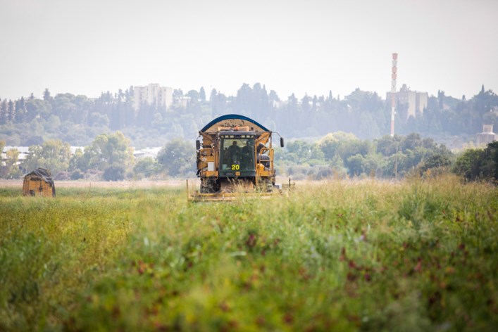 צילום: ענת חרמוני, פלאש 90 עמק יזרעאל