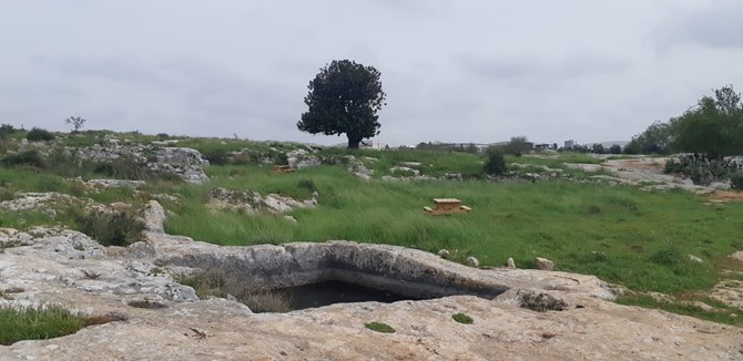 צילום: תיירות שומרון