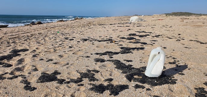 צילום: רני עמיר, המשרד להגנת הסביבה
