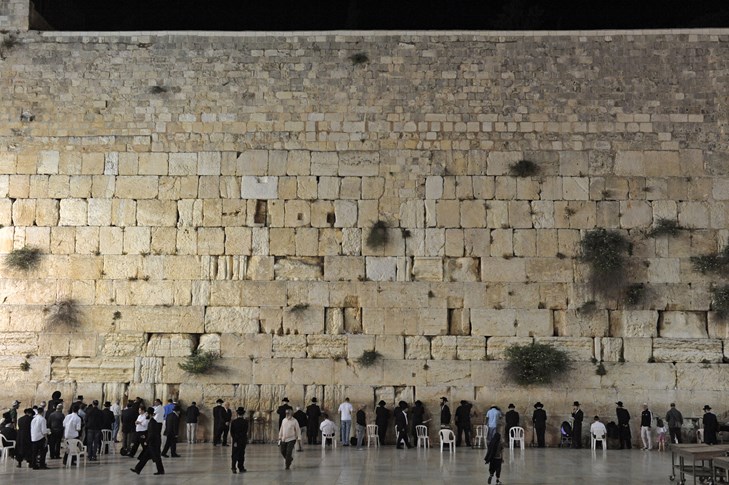 צילום: משה מילנר, לע"מ