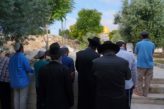צילום: מטה אירגוני המקדש תפילה במניין על הר הבית