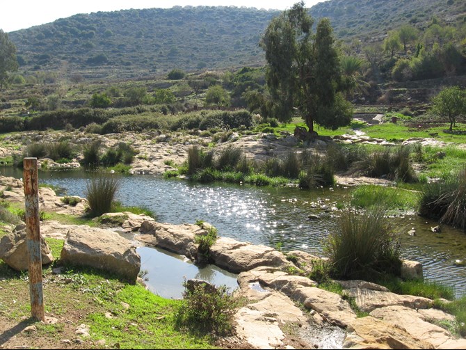 צילום: דוברות