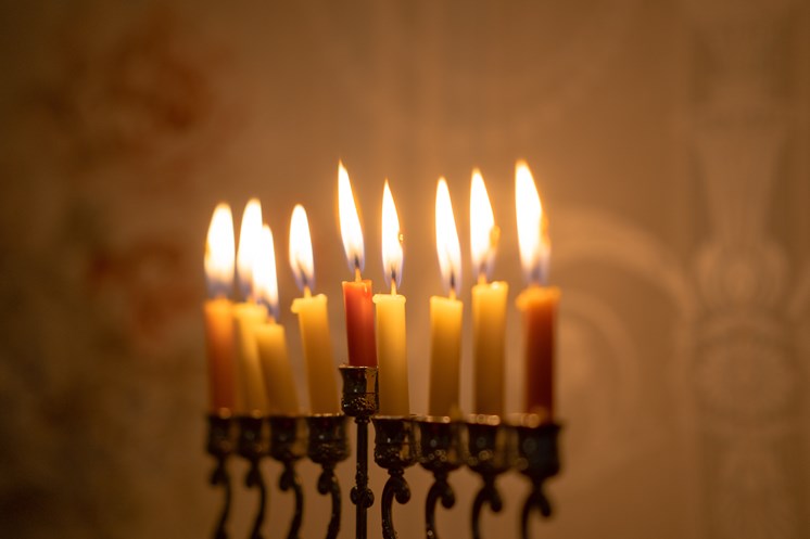 צילום: Photo by cottonbro from Pexels