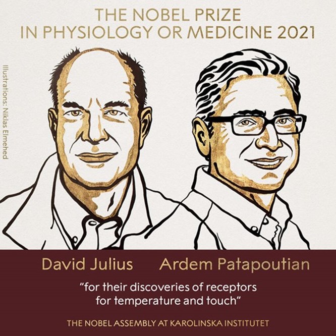 זוכי פרס נובל לרפואה לשנת 2021